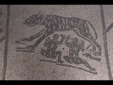 08233 ostia - regio v - insula ii - domus della fortuna annonaria (v,ii,8) - raum (9) - mosaik - romulus und remus und der wolf.jpg